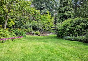 Optimiser l'expérience du jardin à Bernay